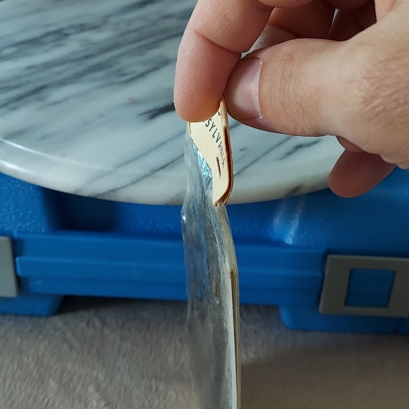 Fern Fossil 2 - Picture 3 of 9